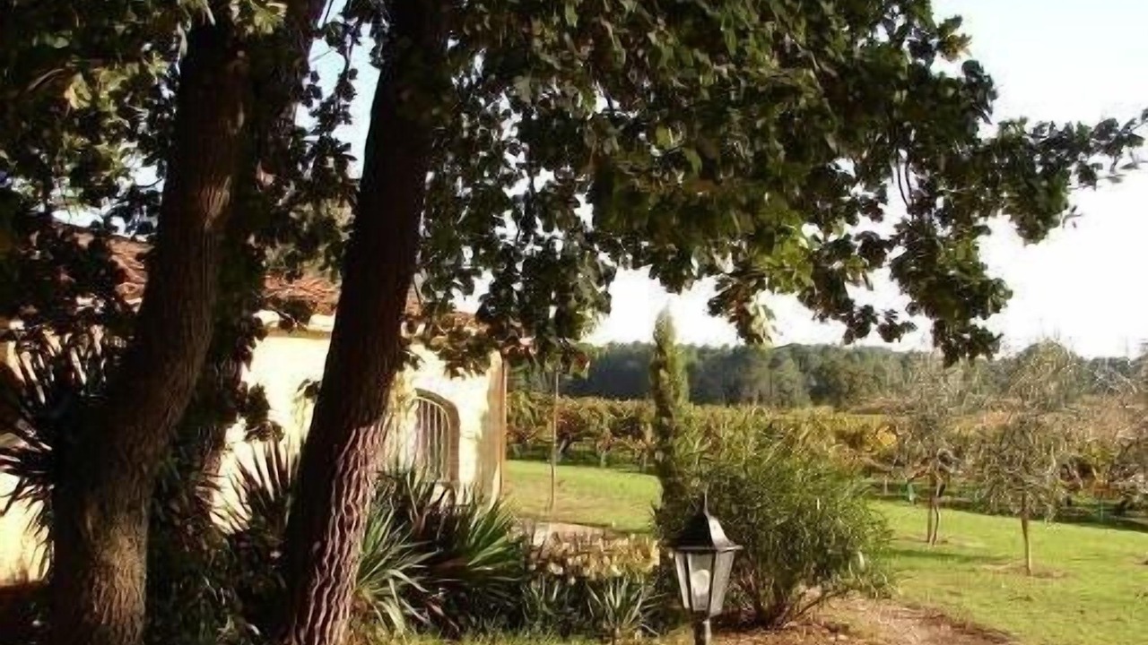 Photo of Outdoor in Bollene