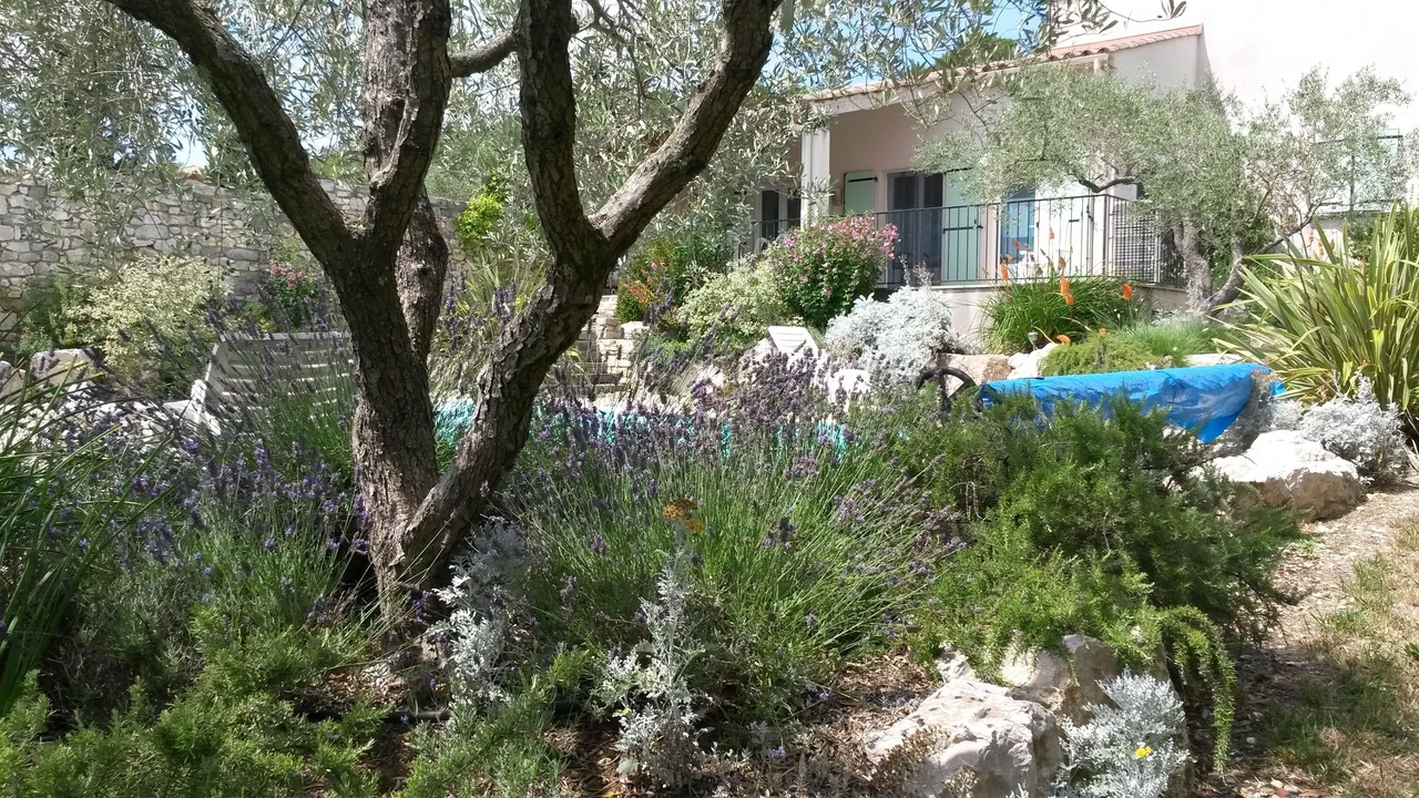 Photo of Outdoor in Blauzac
