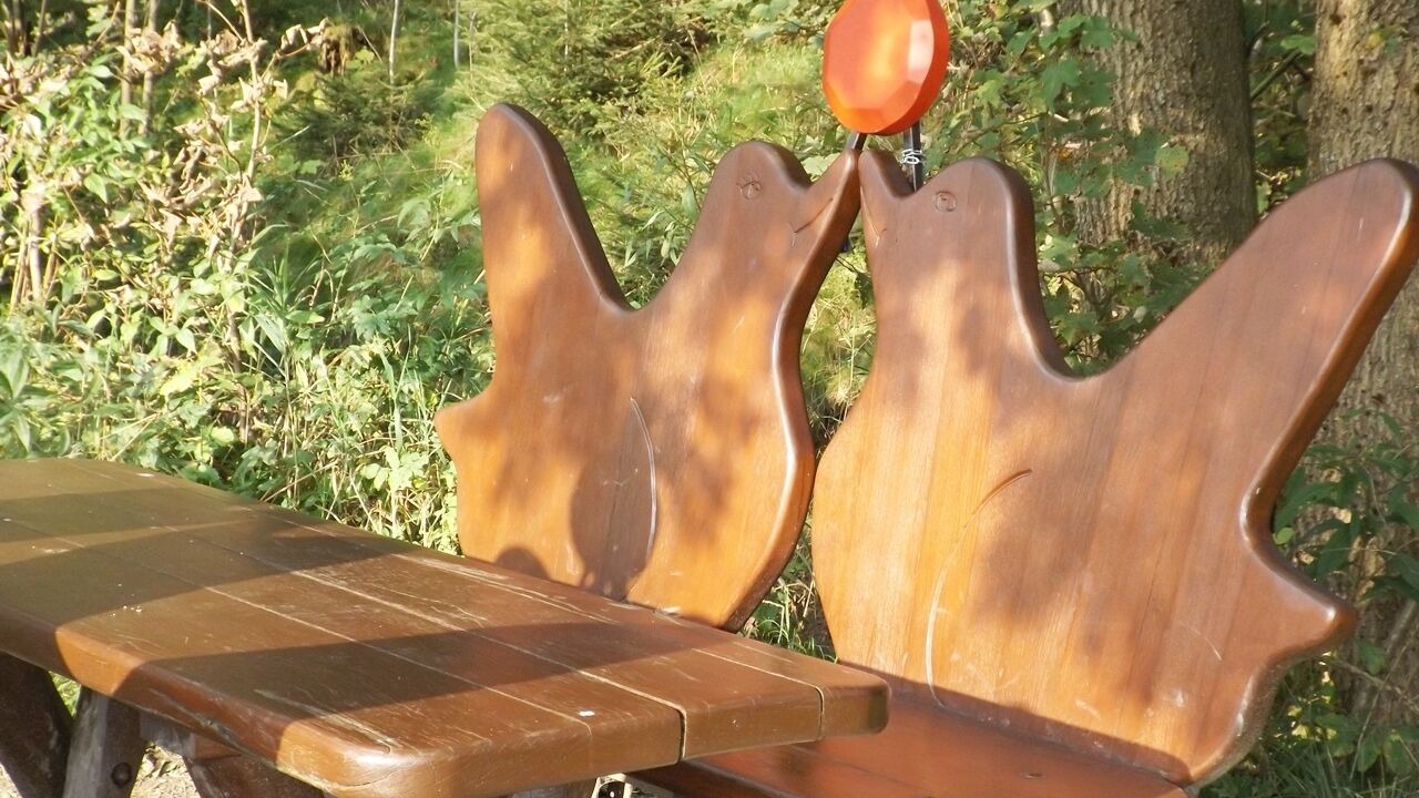 Photo of Outdoor in Hahnenklee