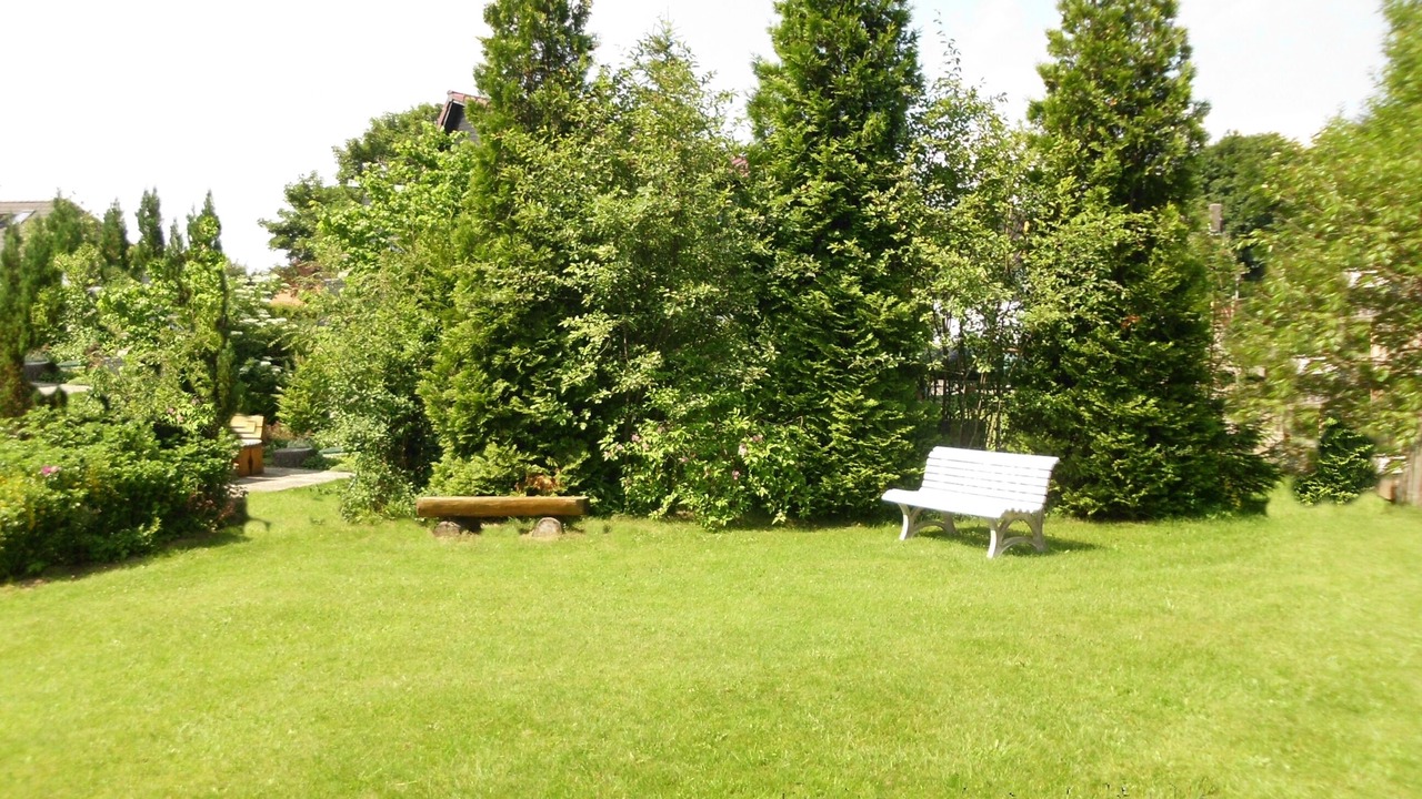 Photo of Outdoor in Hahnenklee