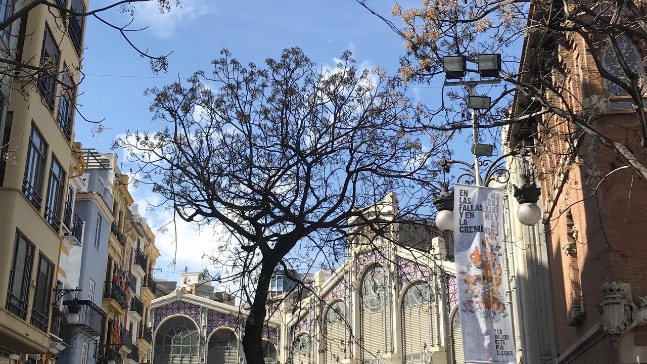 Photo of Others in El Botanic