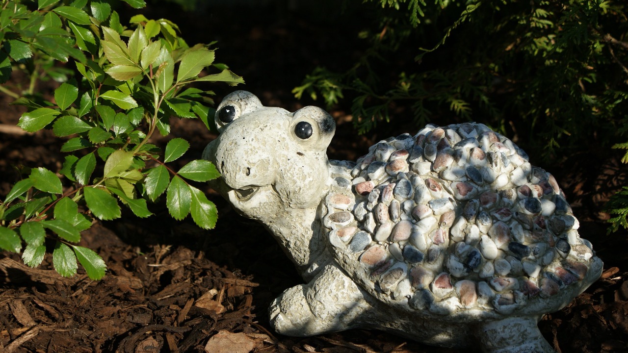 Photo of Outdoor in Glowe