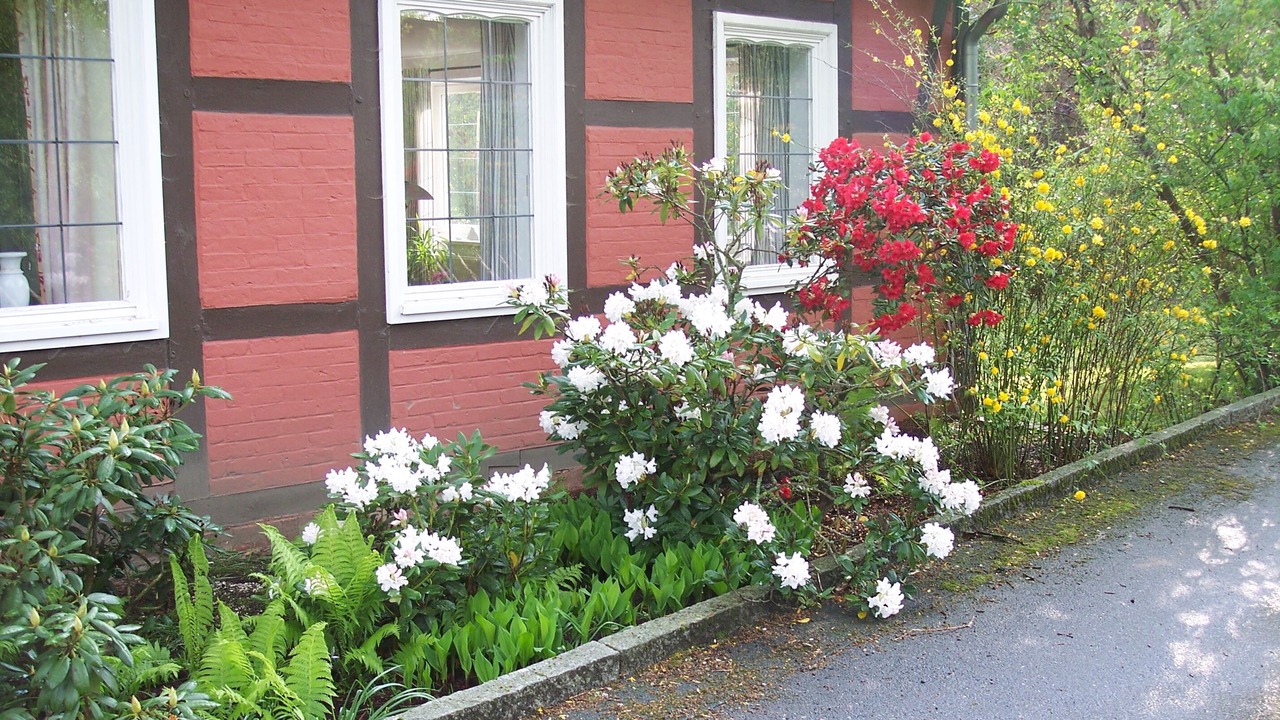 Photo of Outdoor in Tosterglope