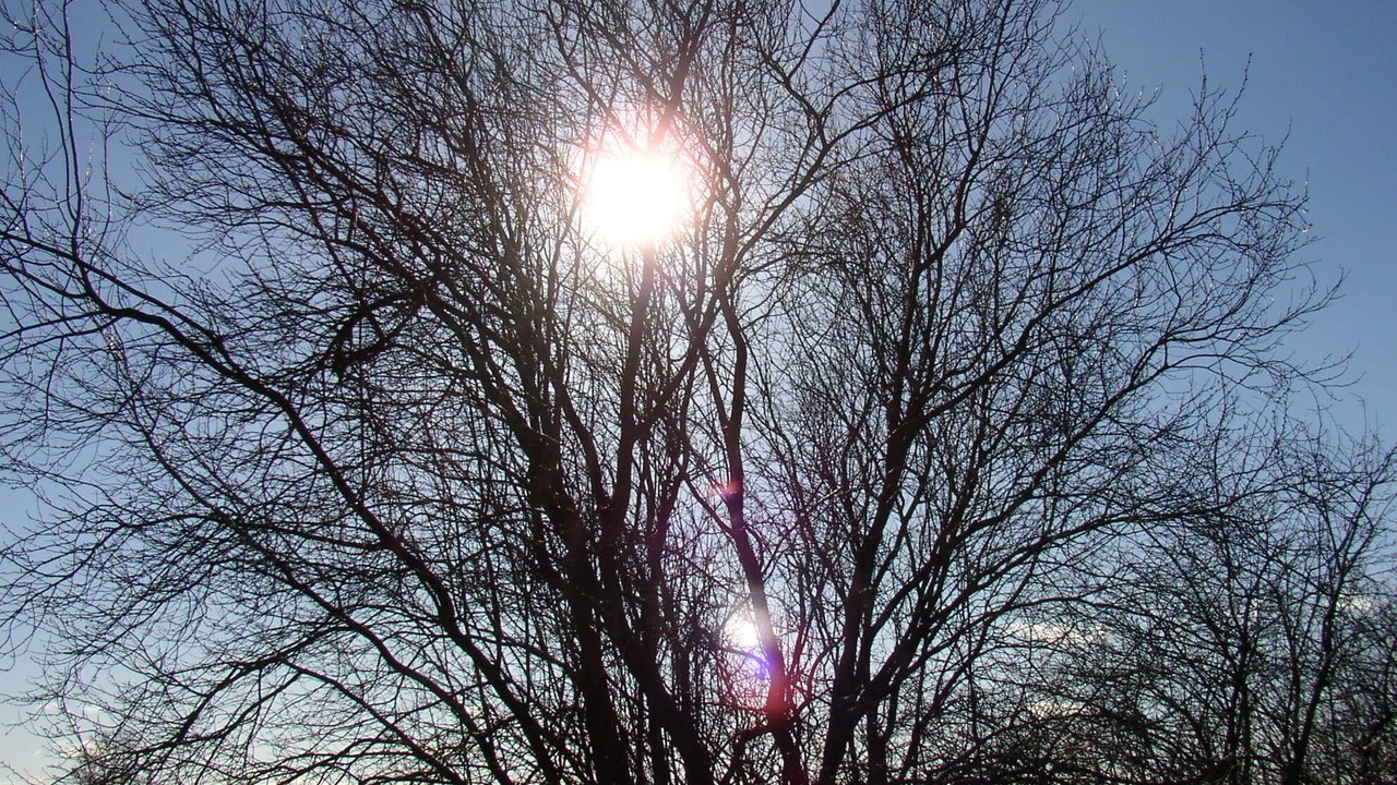 Photo of Outdoor in Tosterglope