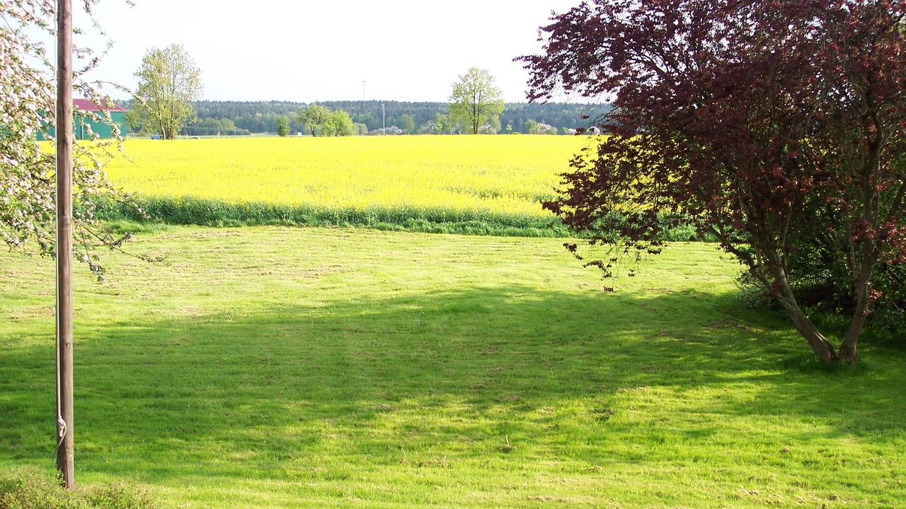 Photo of Outdoor in Tosterglope