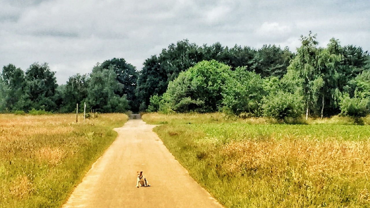 Photo of Outdoor in Goehrde