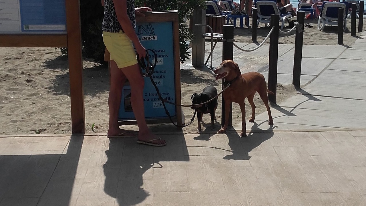 Photo of Others in Calahonda