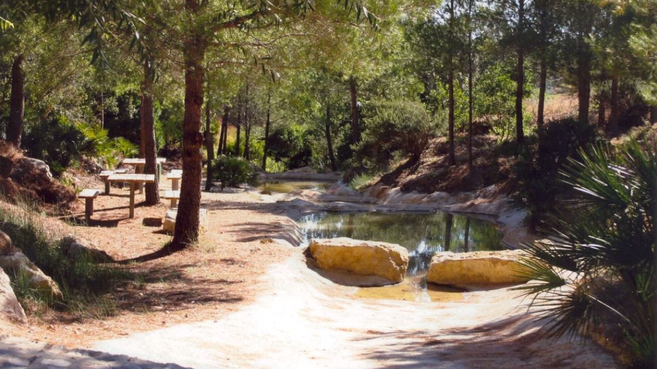 Photo of Outdoor in El Perello