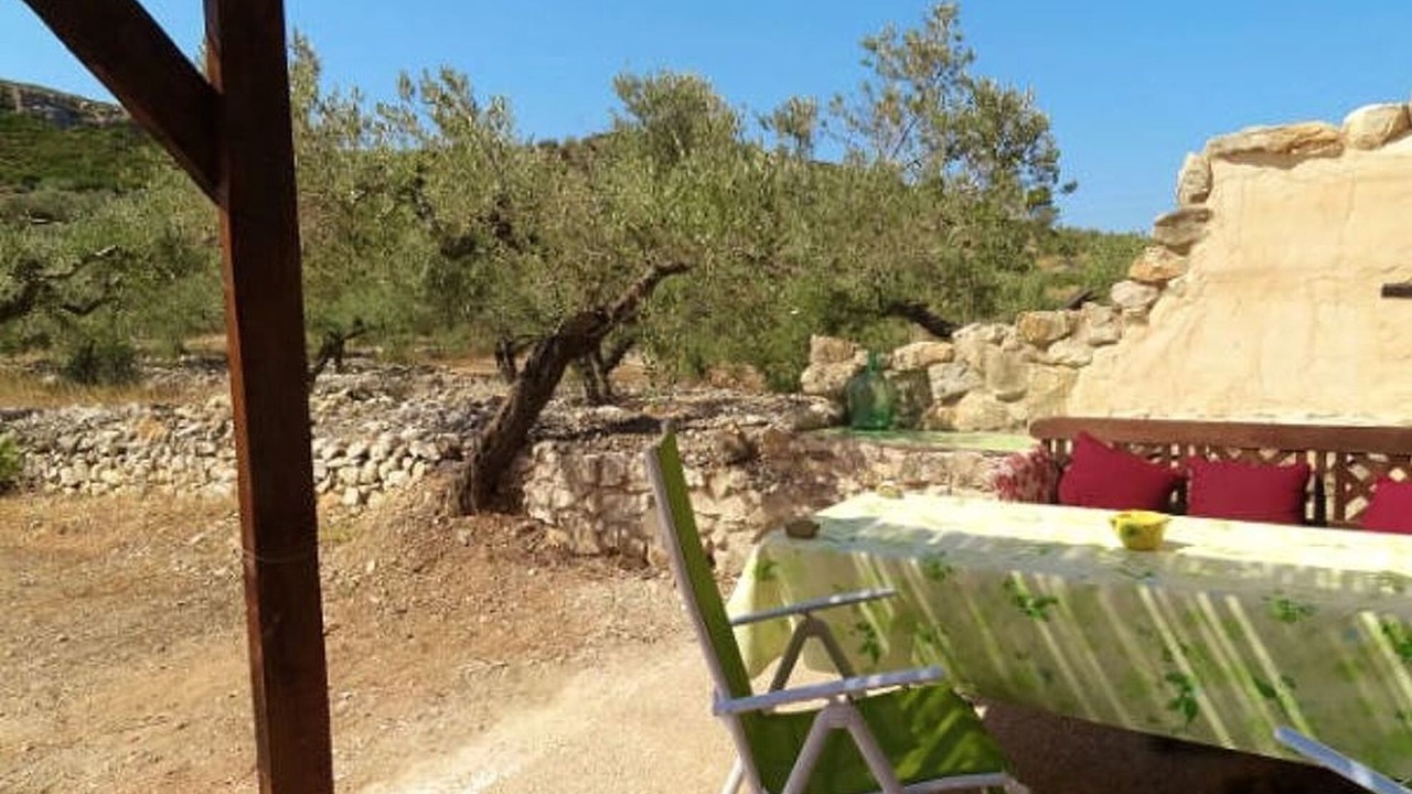 Photo of Outdoor in El Perello