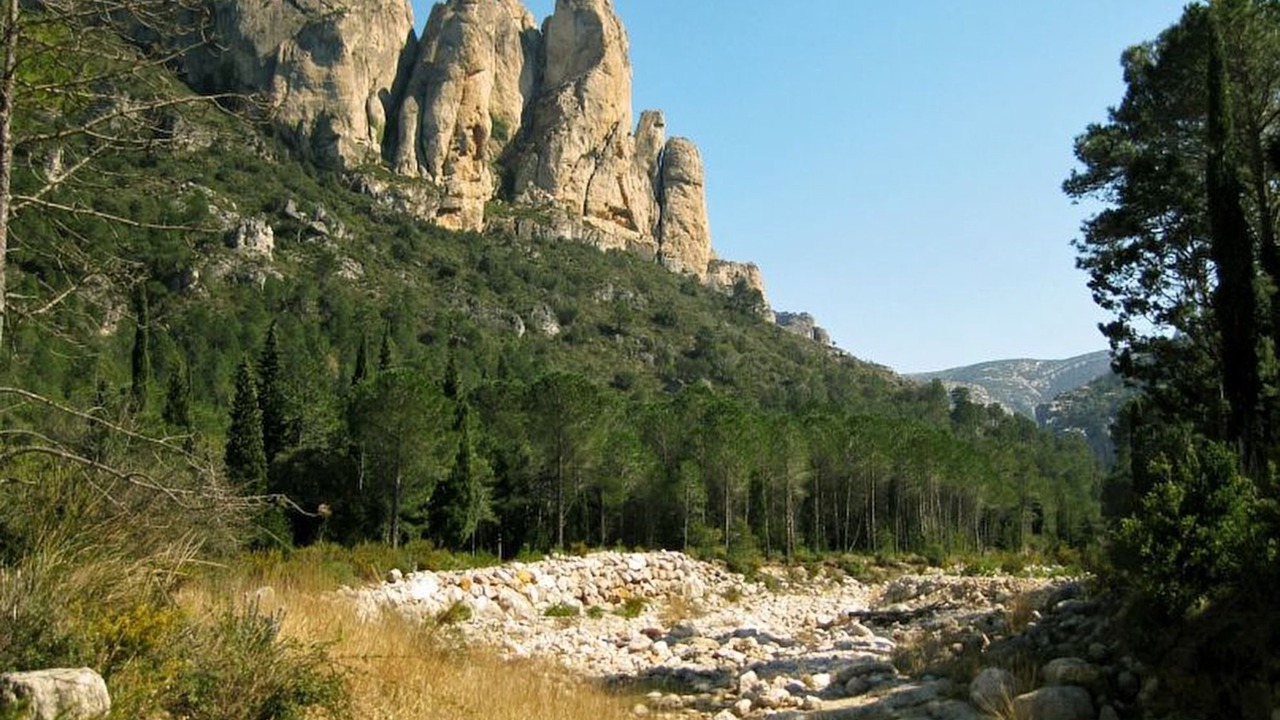 Photo of Others in El Perello
