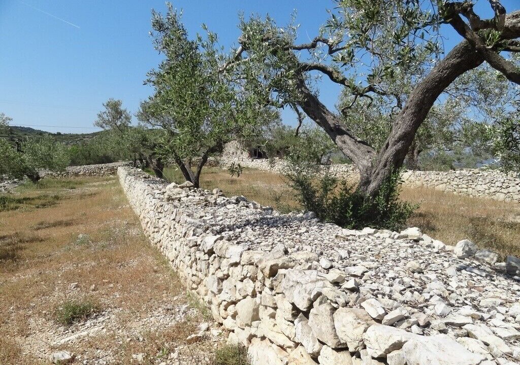 Photo of Outdoor in El Perello