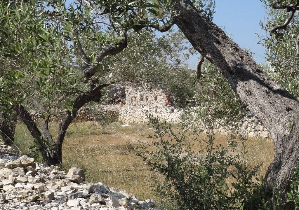 Photo of Outdoor in El Perello