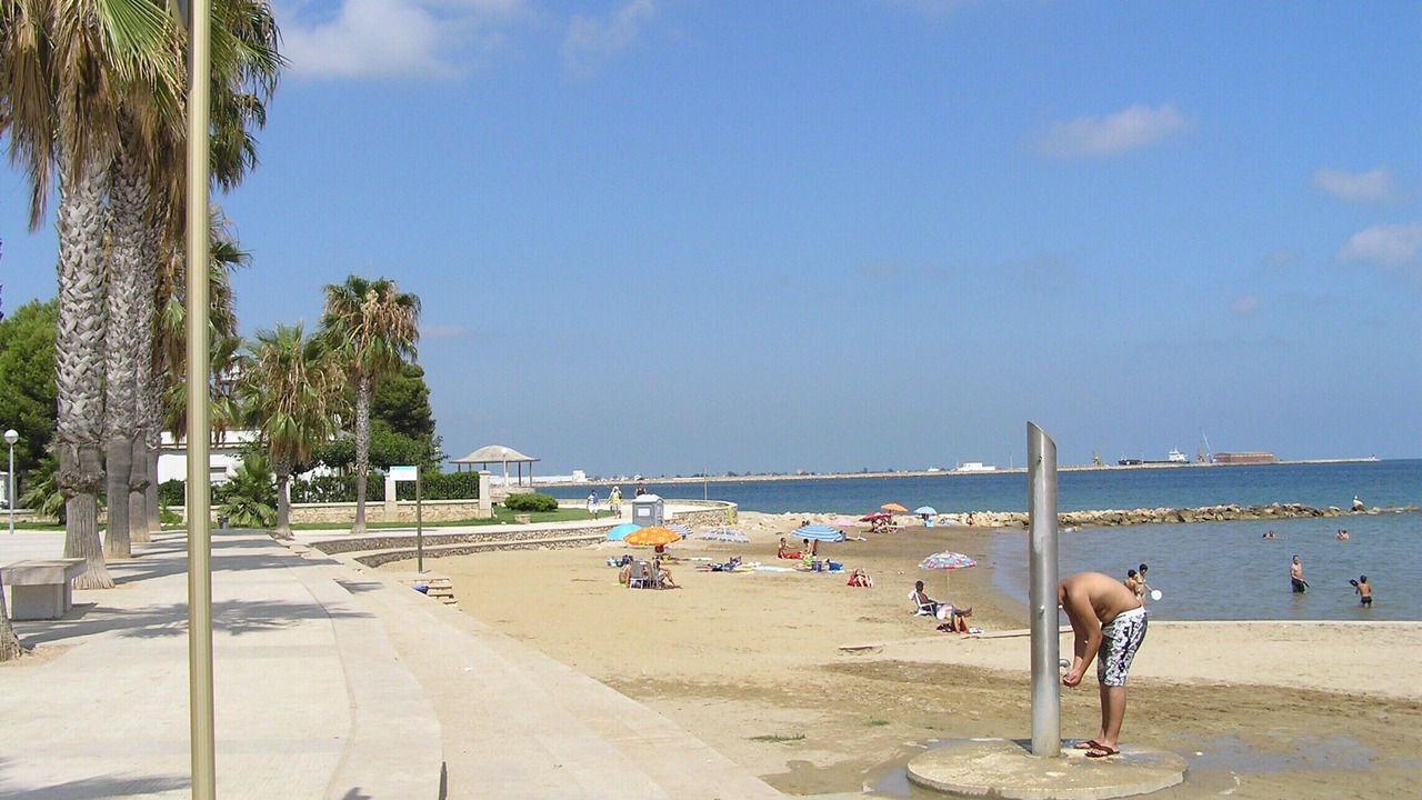 Photo of Others in El Perello