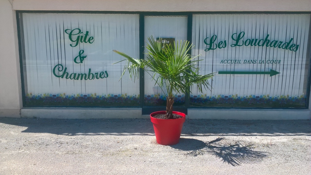 Photo of Outdoor in Nolay