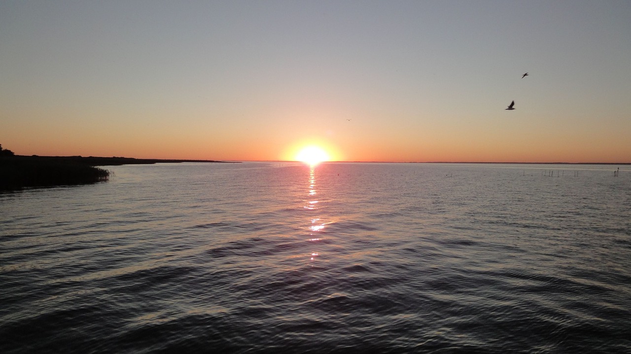 Photo of Others in Ueckermuende