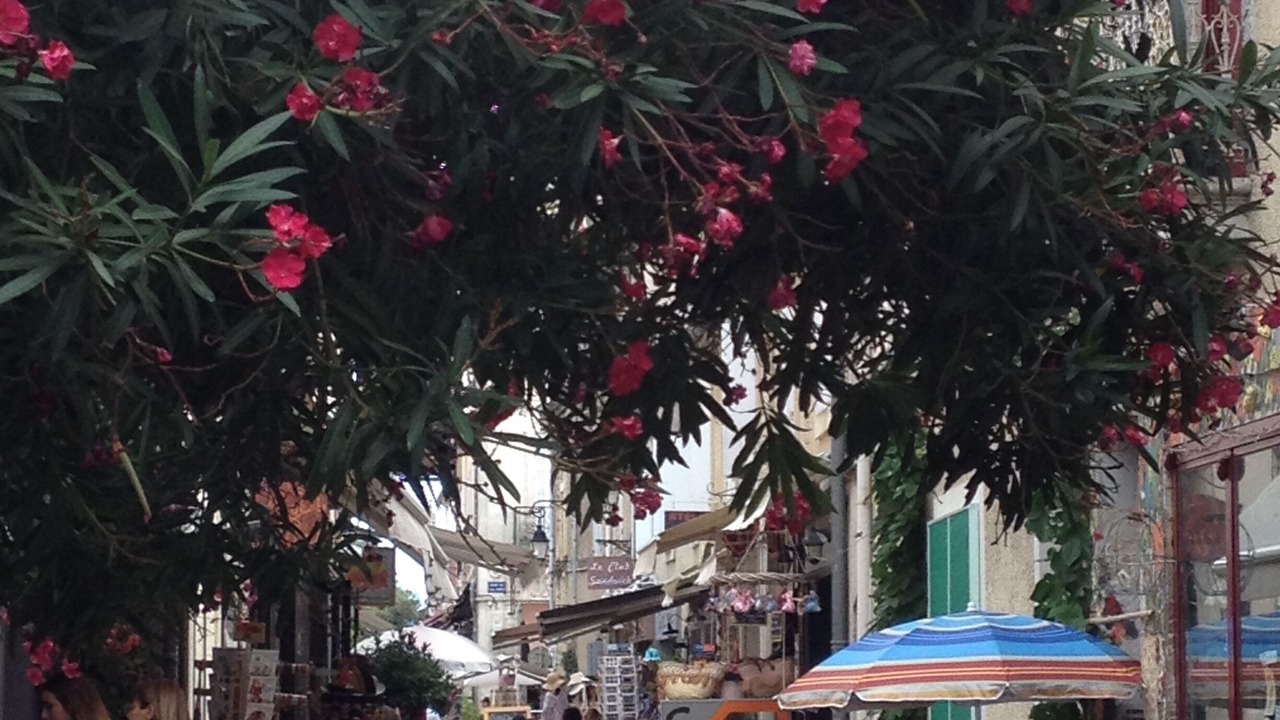 Photo of Outdoor in Aigues-Mortes
