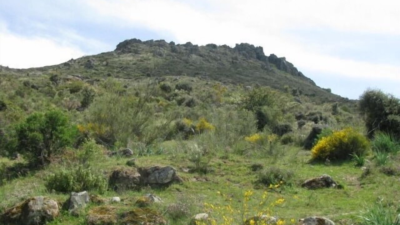 Photo of Outdoor in Santa Cruz de la Sierra