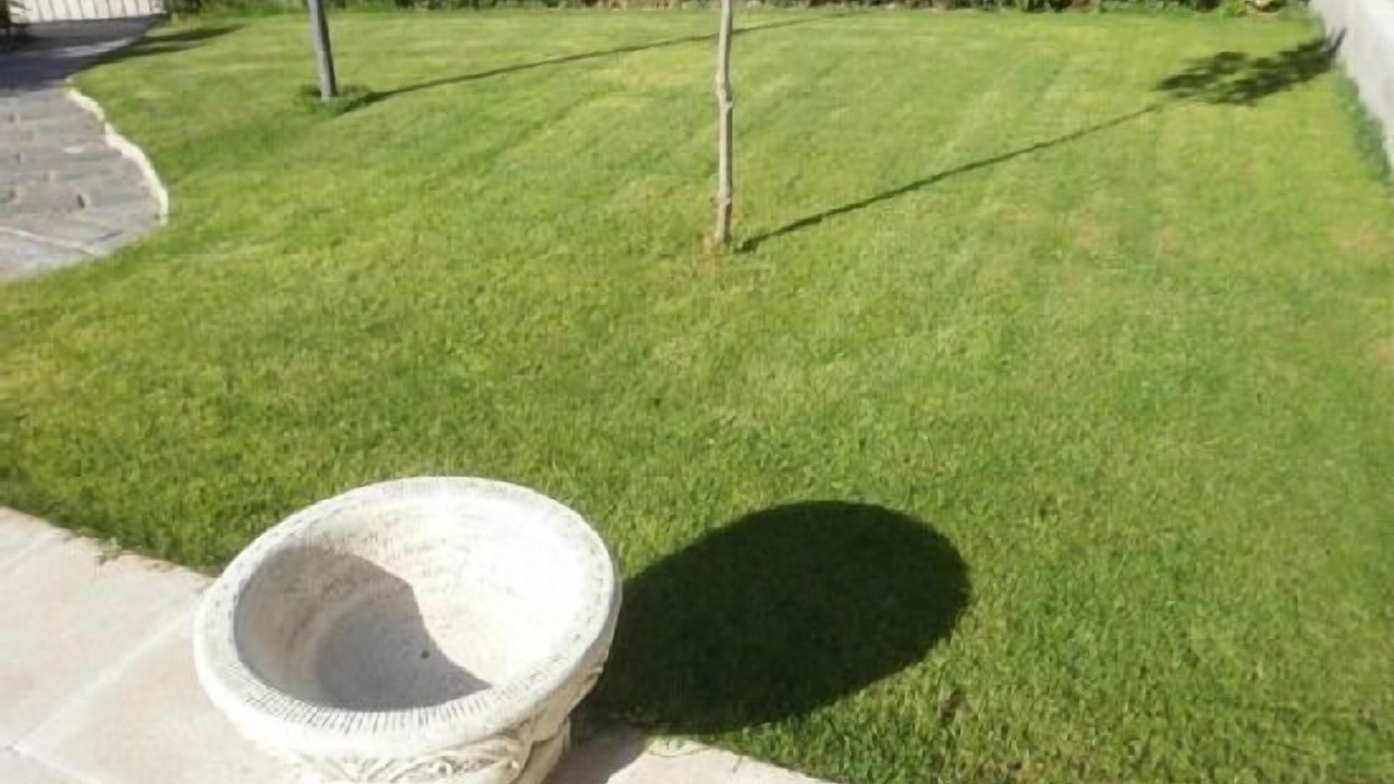 Photo of Outdoor in Pereruela
