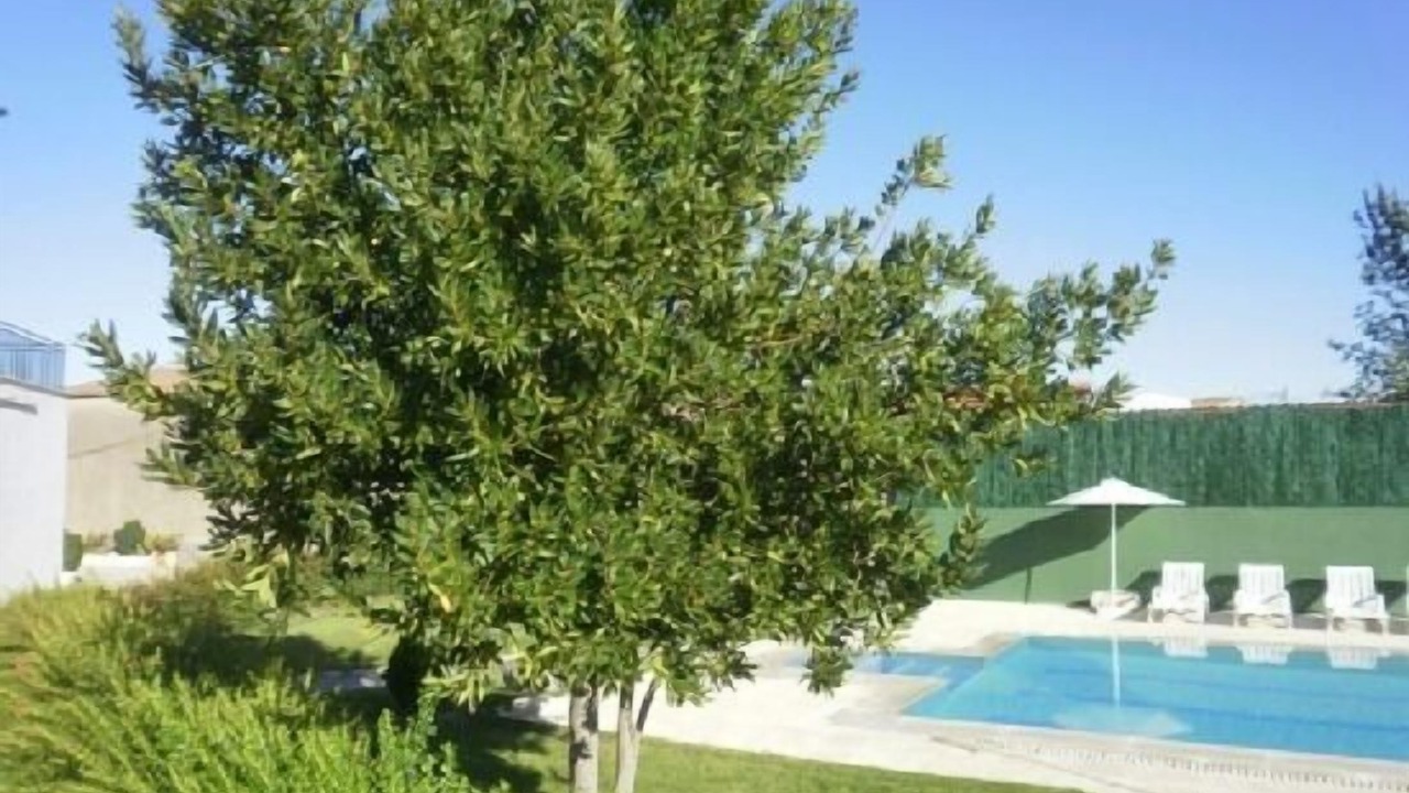 Photo of Outdoor in Pereruela
