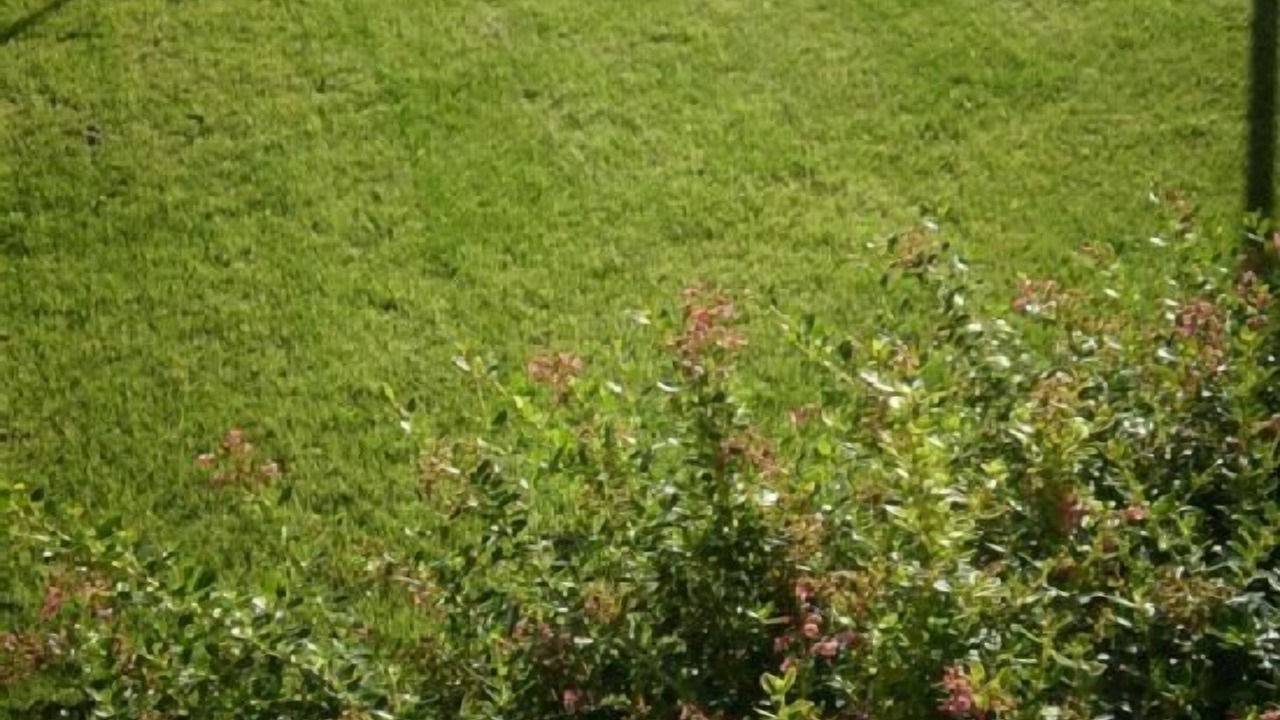 Photo of Outdoor in Pereruela