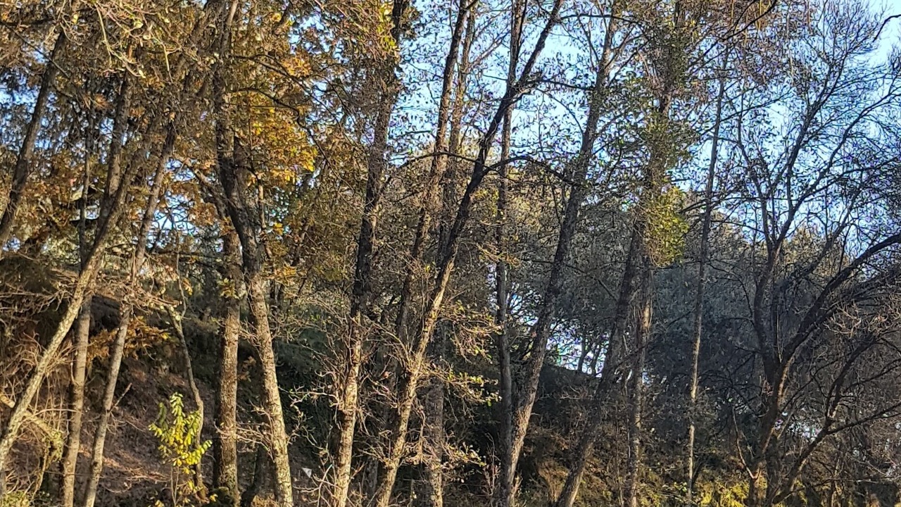 Photo of Outdoor in Arenas de San Pedro