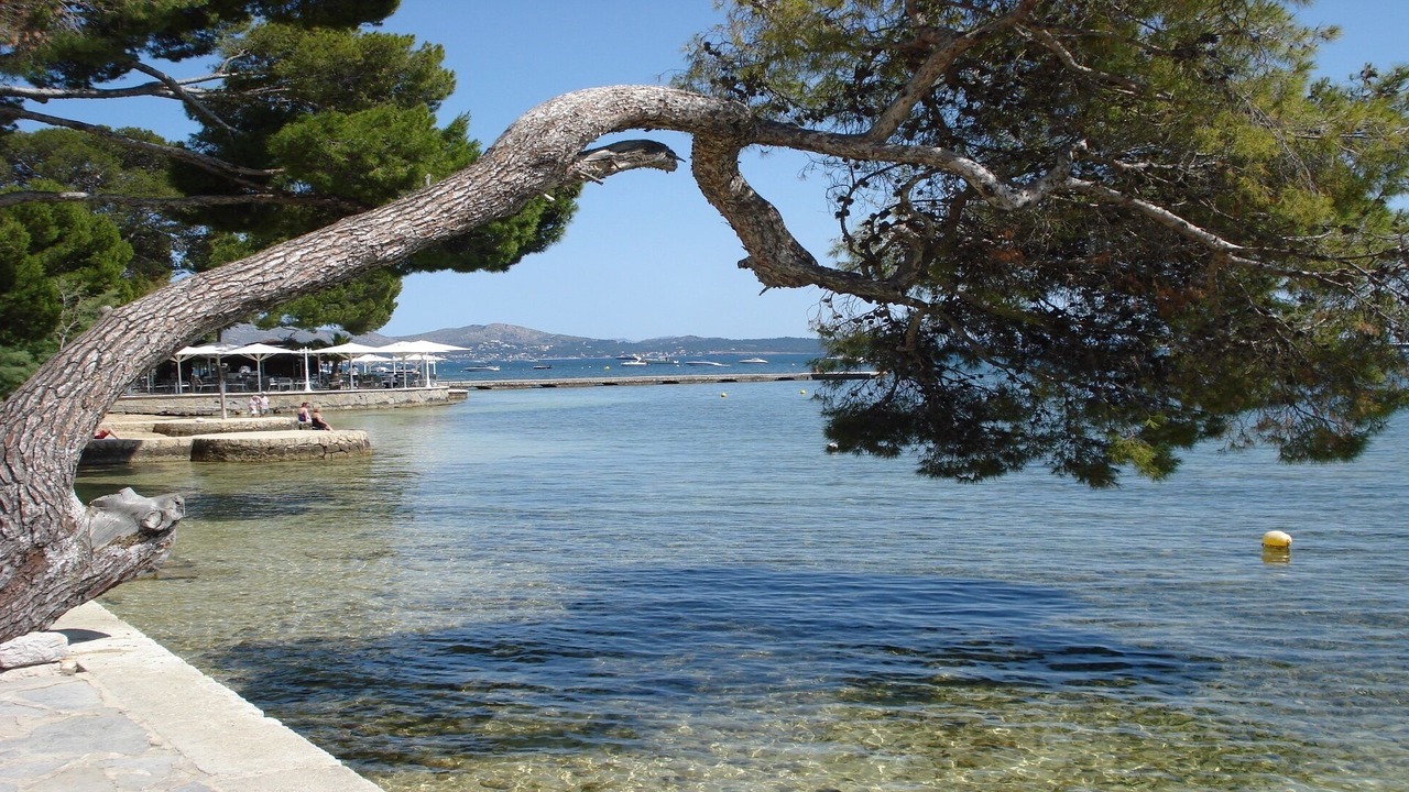 Photo of Others in Puerto de Pollensa