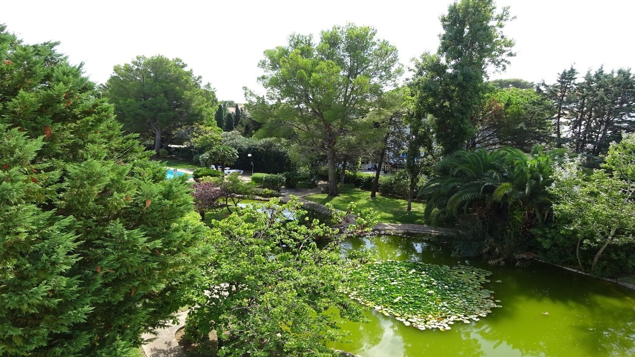 Photo of Outdoor in Puerto de Pollensa