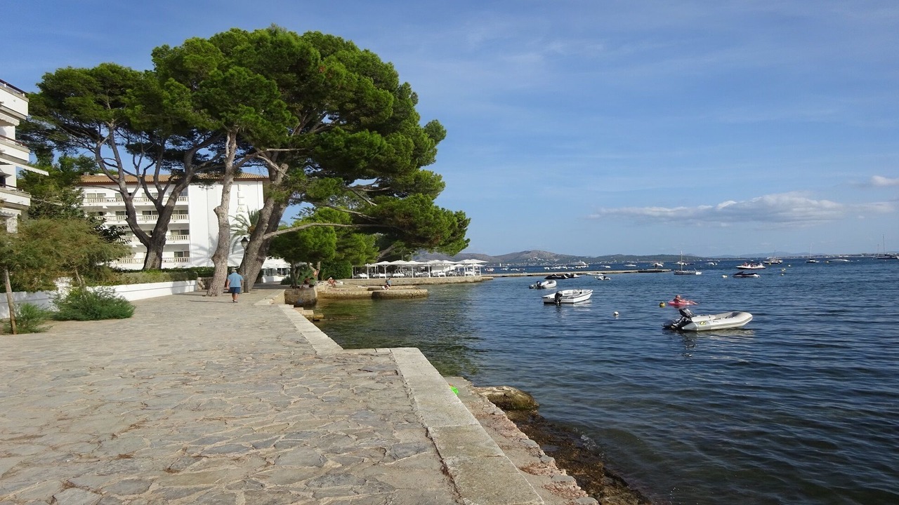 Photo of Others in Puerto de Pollensa