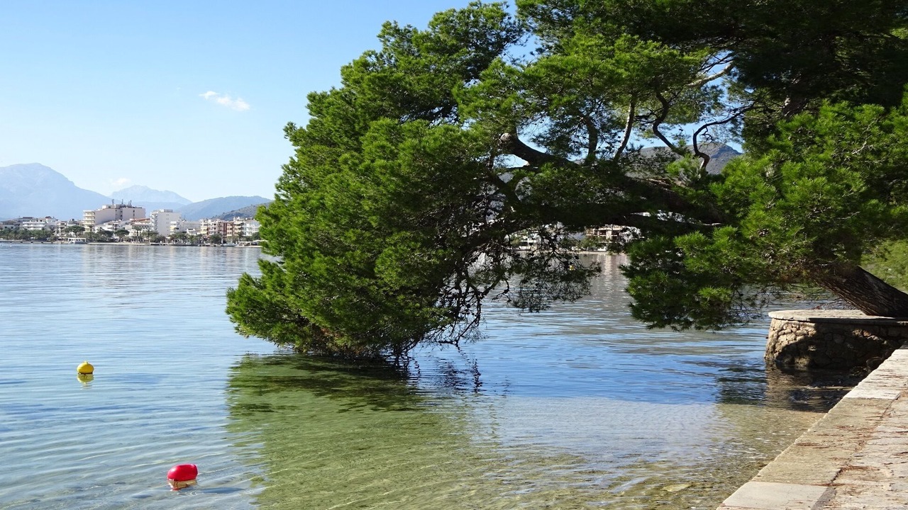 Photo of Others in Puerto de Pollensa