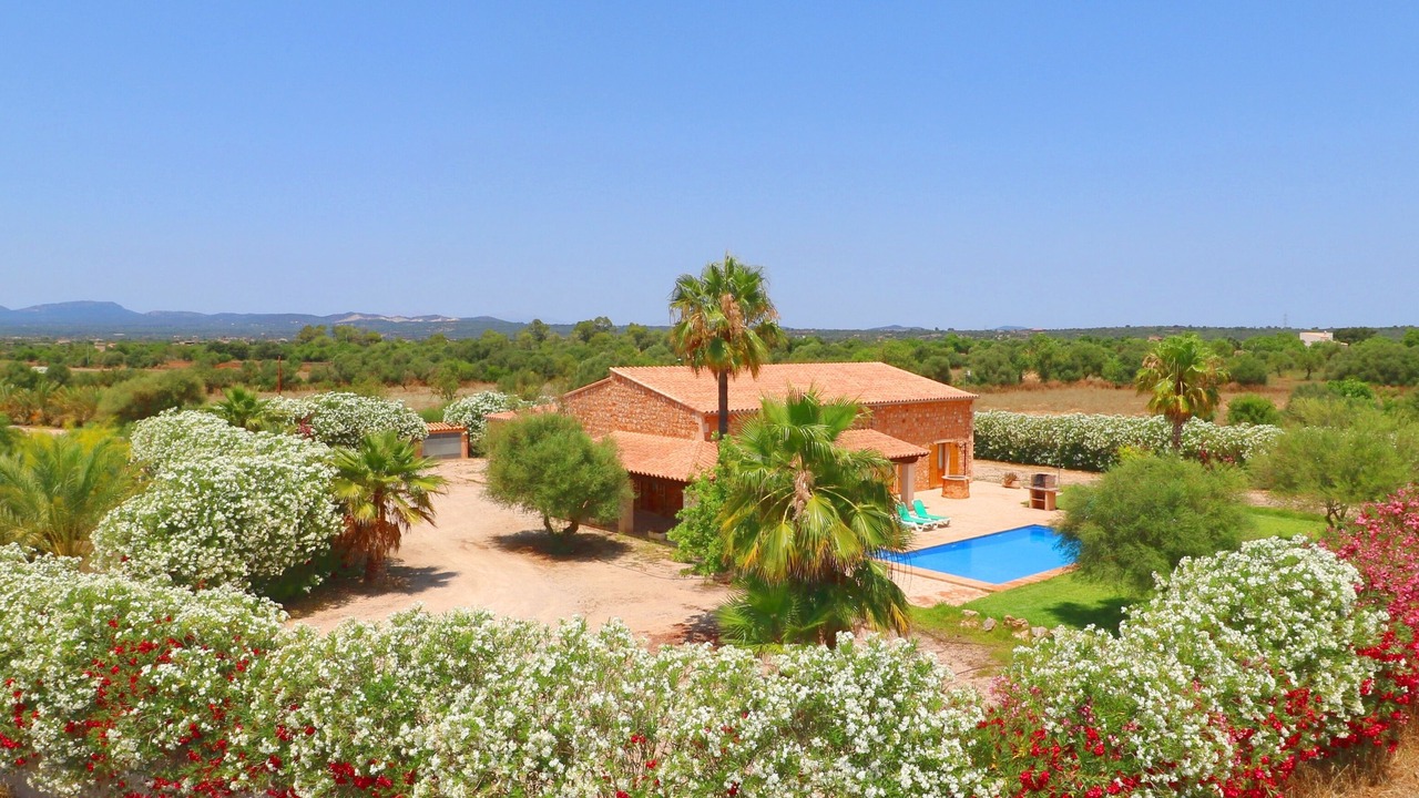 Photo of Outdoor in Campos
