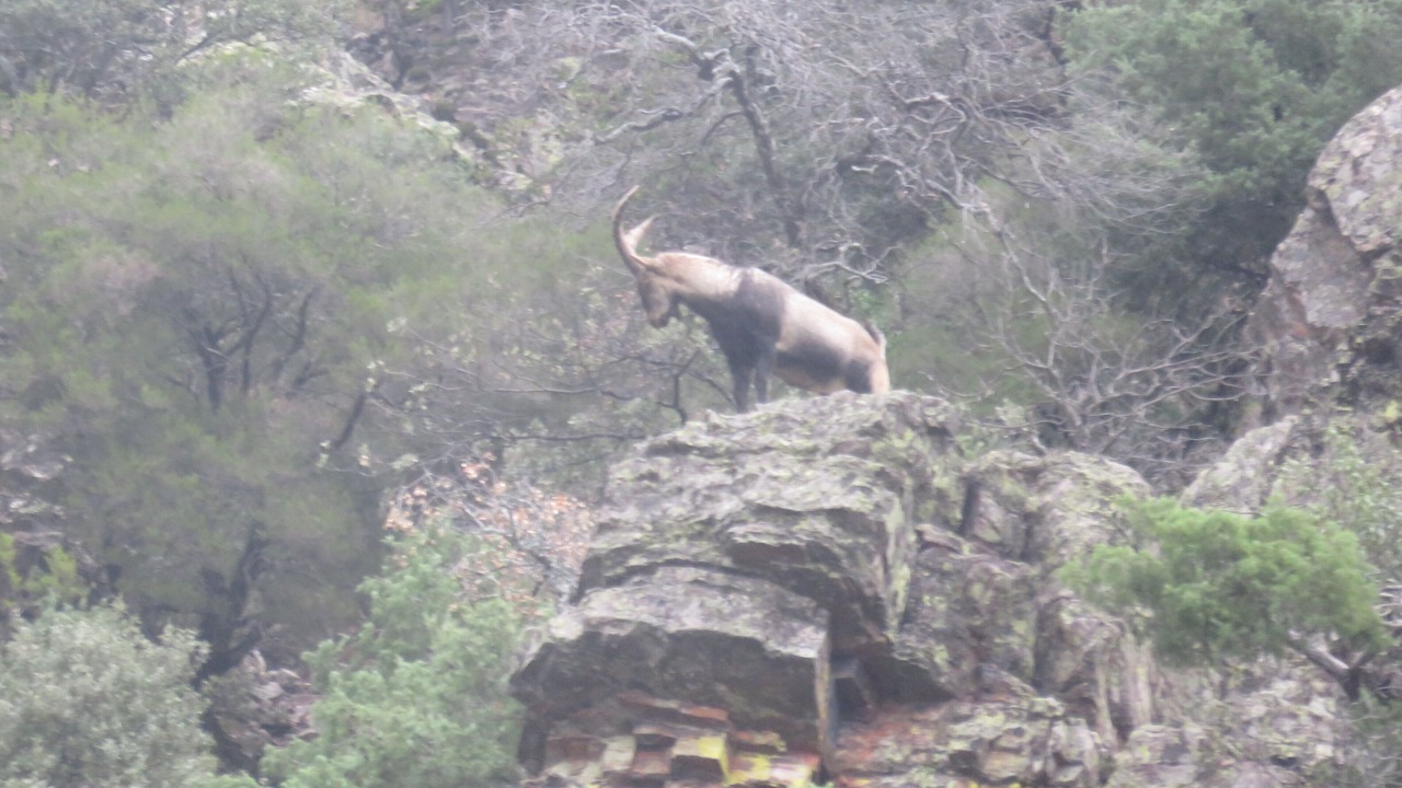Photo of Outdoor in Sotoserrano