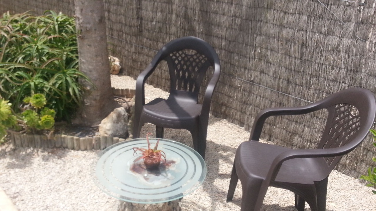 Photo of Outdoor in Riumar