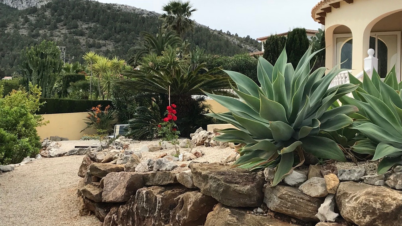 Photo of Outdoor in Denia