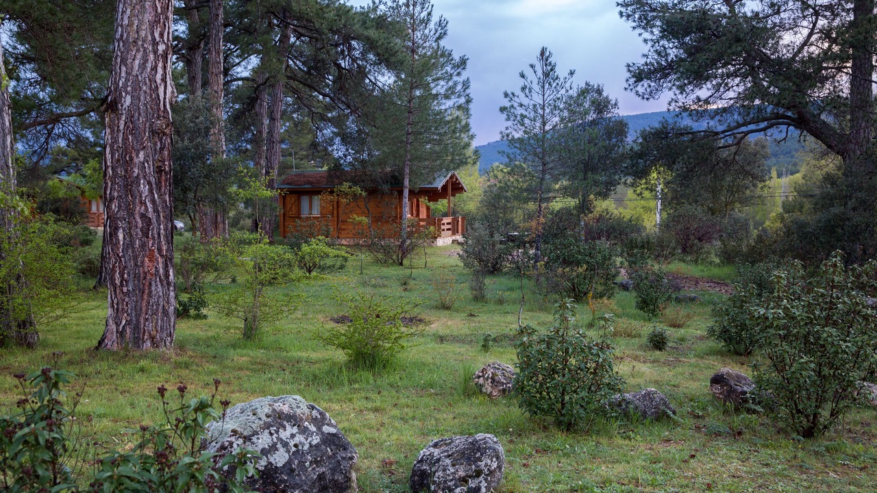 Photo of Outdoor in Canamares