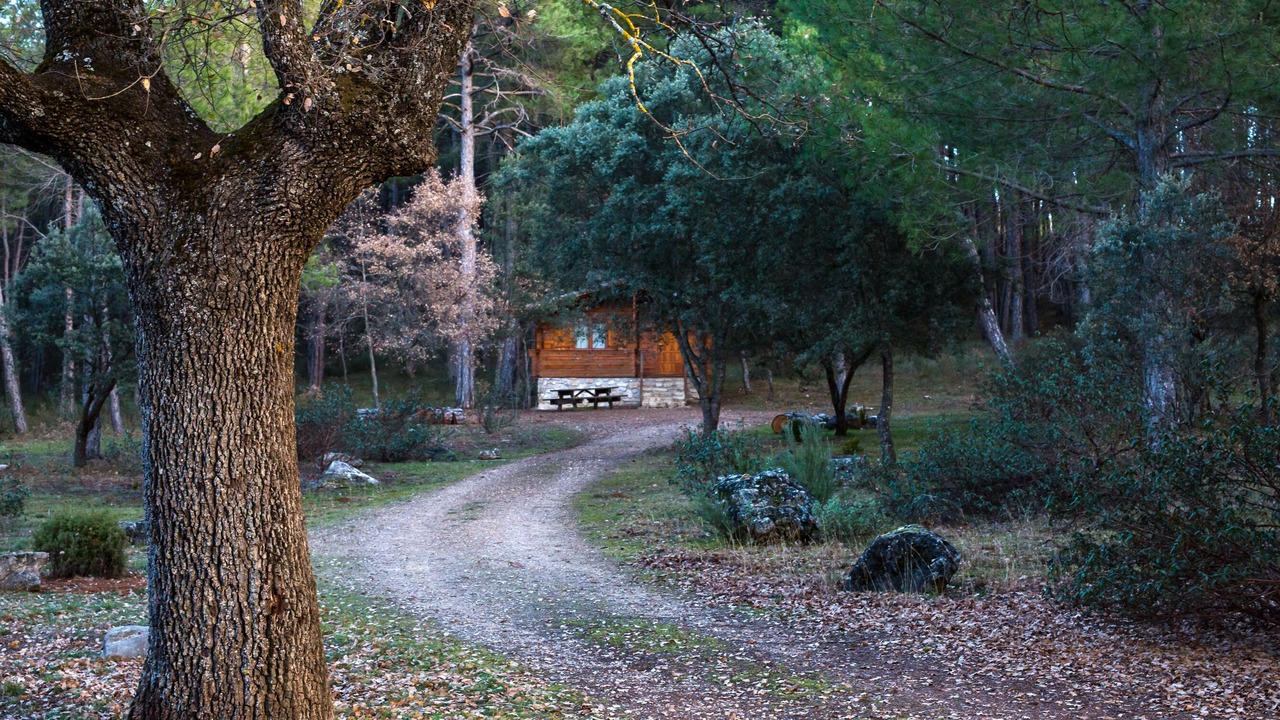 Photo of Outdoor in Canamares