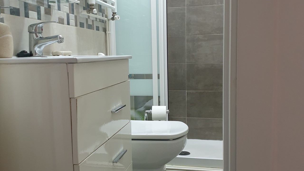Photo of Bathroom in Embajadores