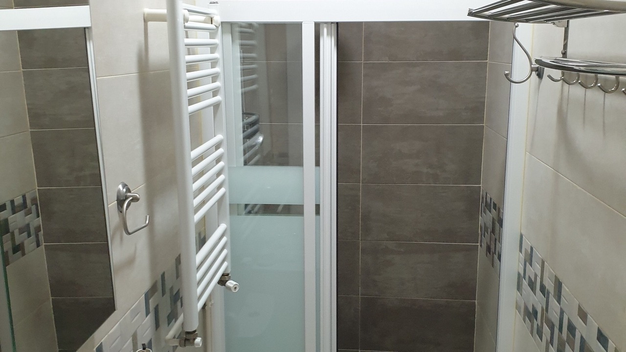 Photo of Bathroom in Embajadores