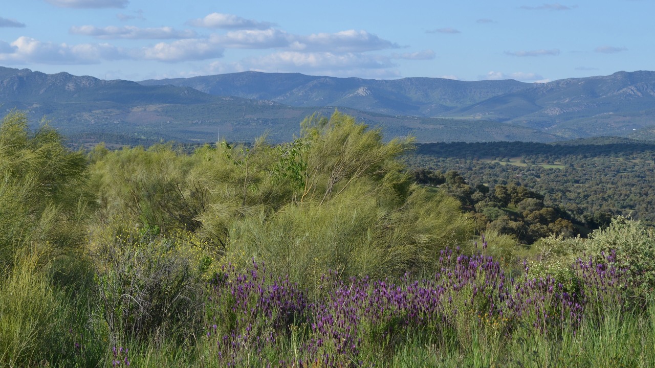 Photo of Outdoor in Cardena