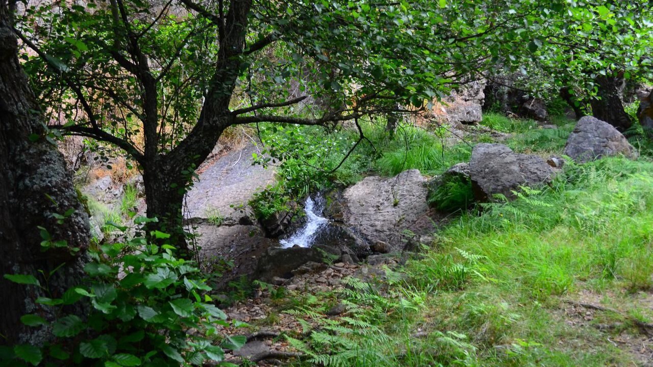 Photo of Outdoor in Cardena