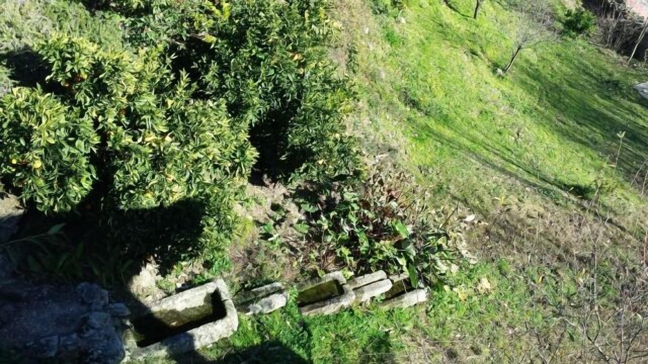 Photo of Outdoor in Poyales del Hoyo
