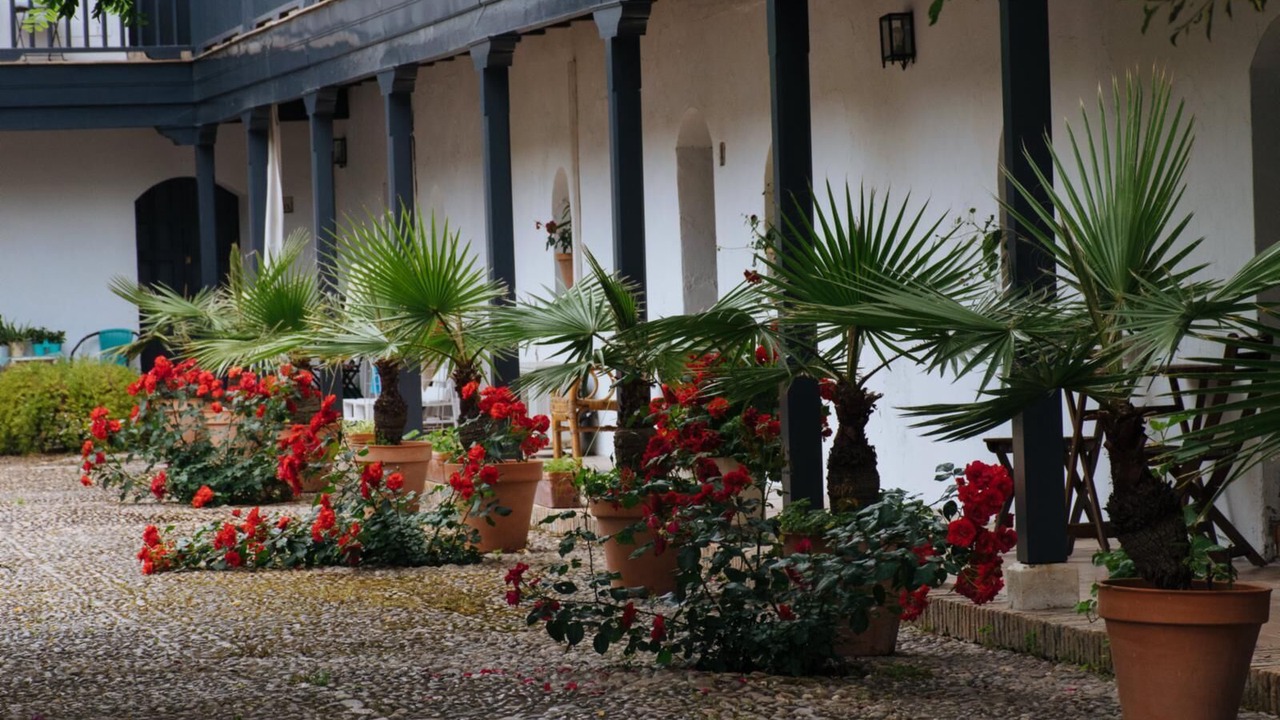 Photo of Outdoor in Santa Catalina
