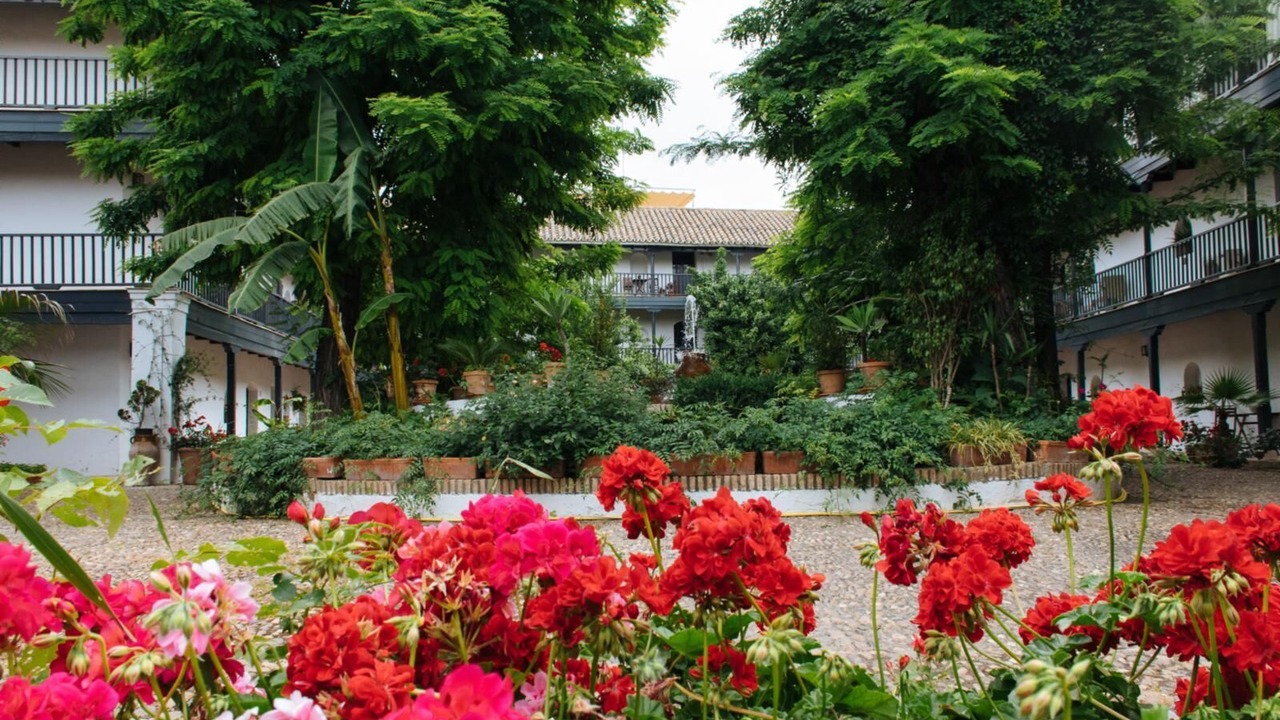 Photo of Outdoor in Santa Catalina