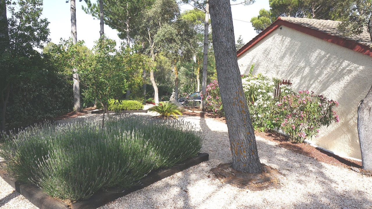 Photo of Outdoor in Albalate de Zorita
