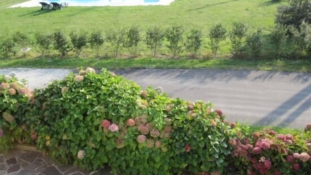 Photo of Outdoor in Valdes