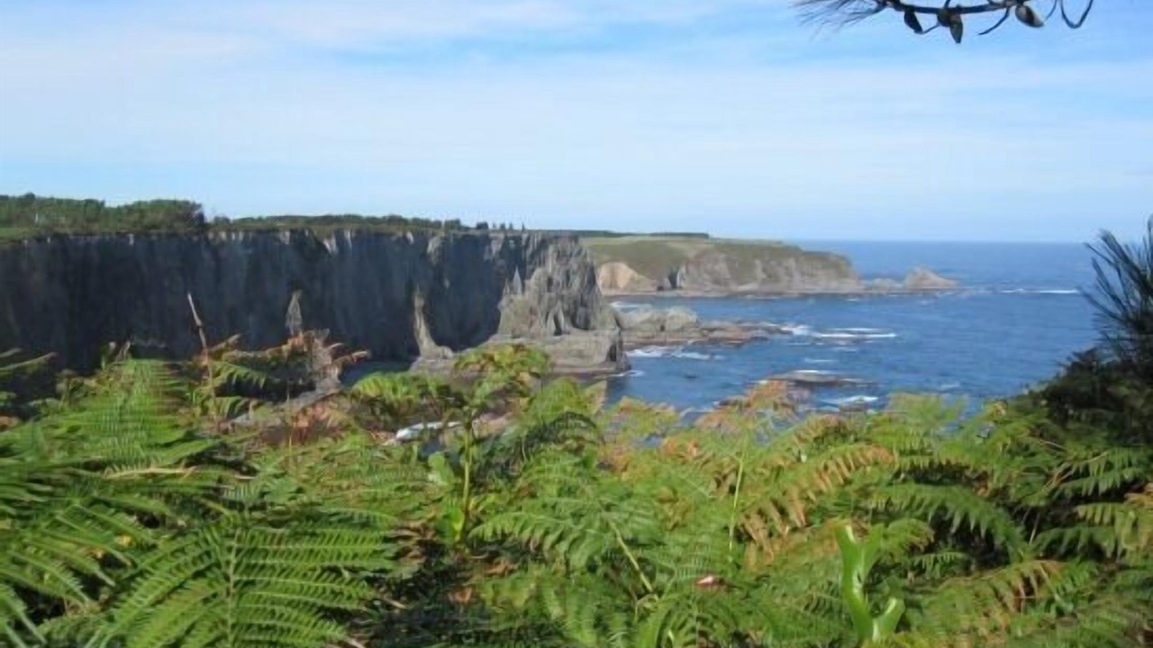 Photo of Outdoor in Valdes