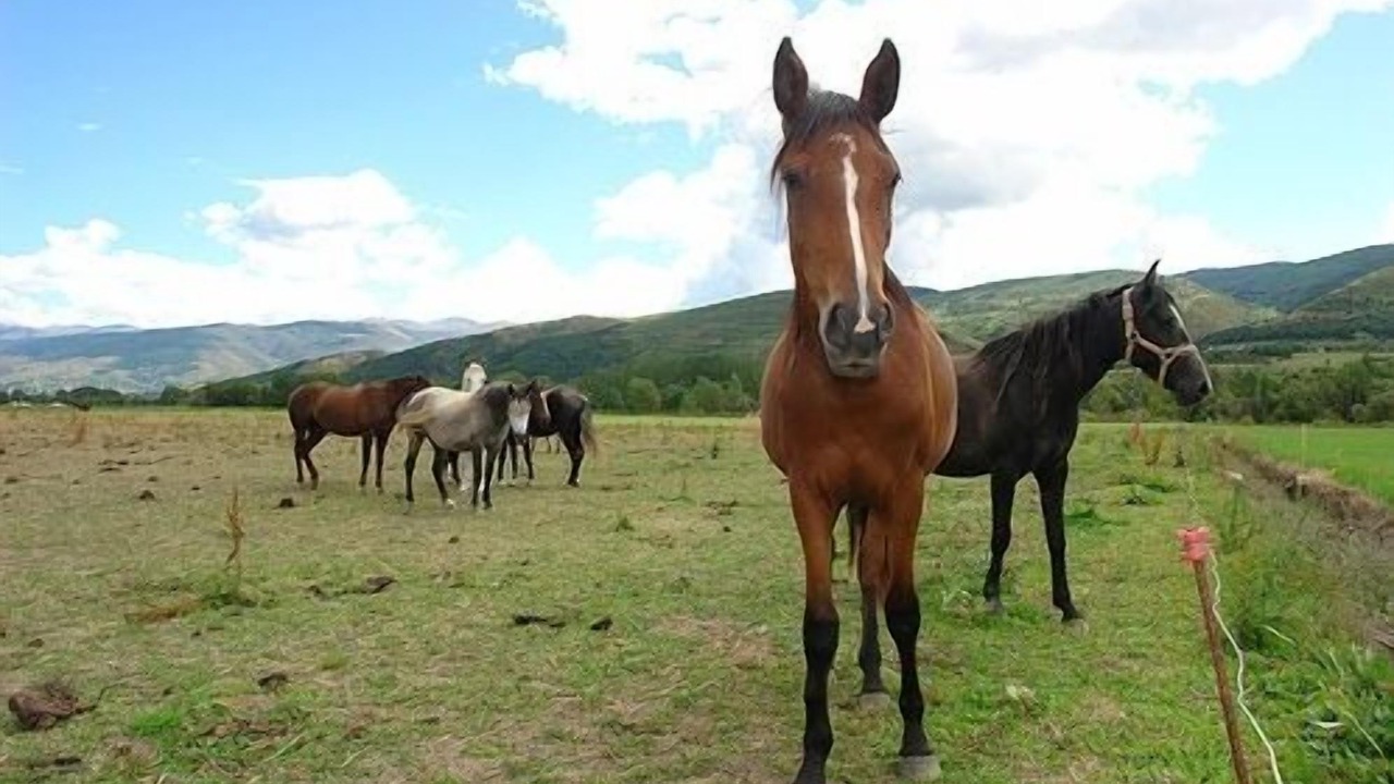 Photo of Outdoor in Bolvir