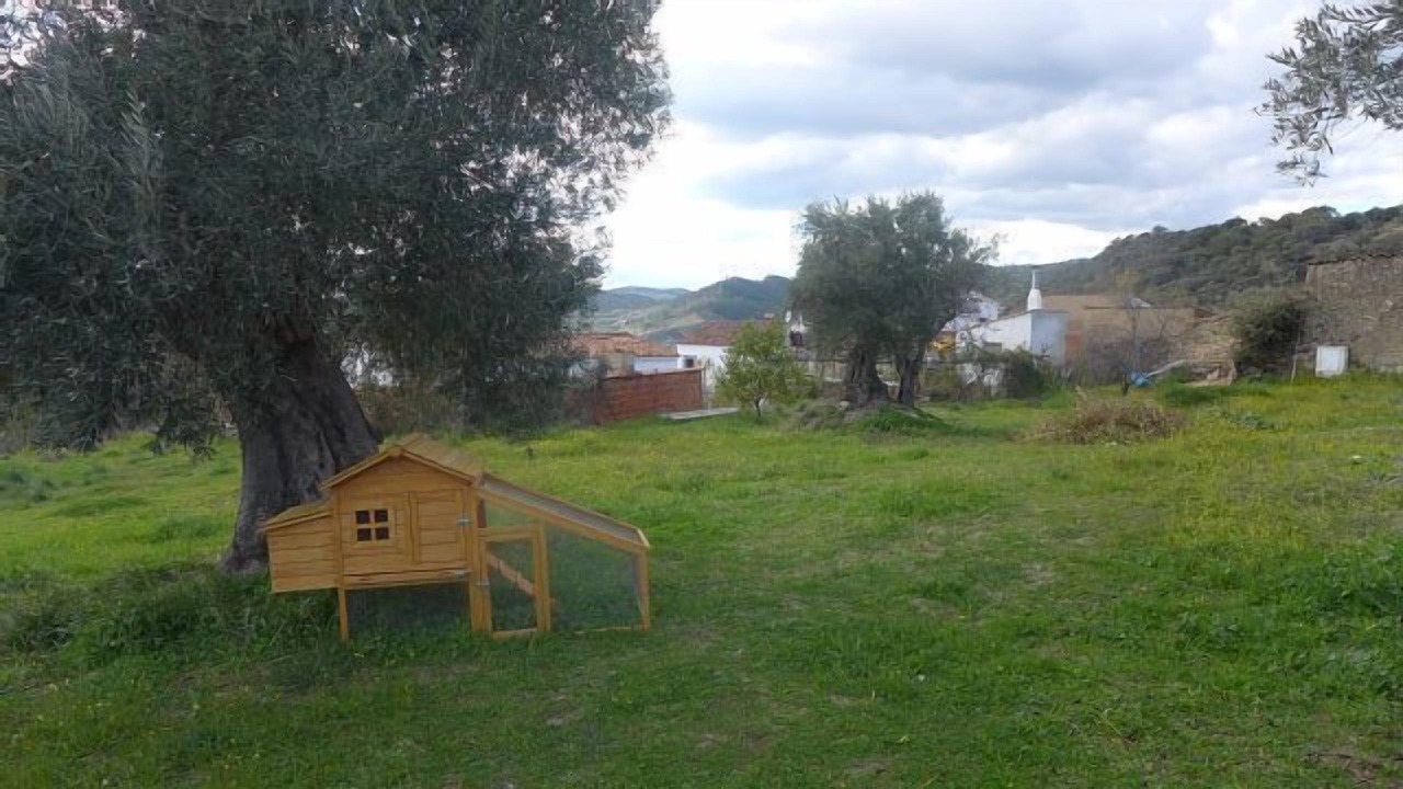 Photo of Outdoor in Santa Ana la Real