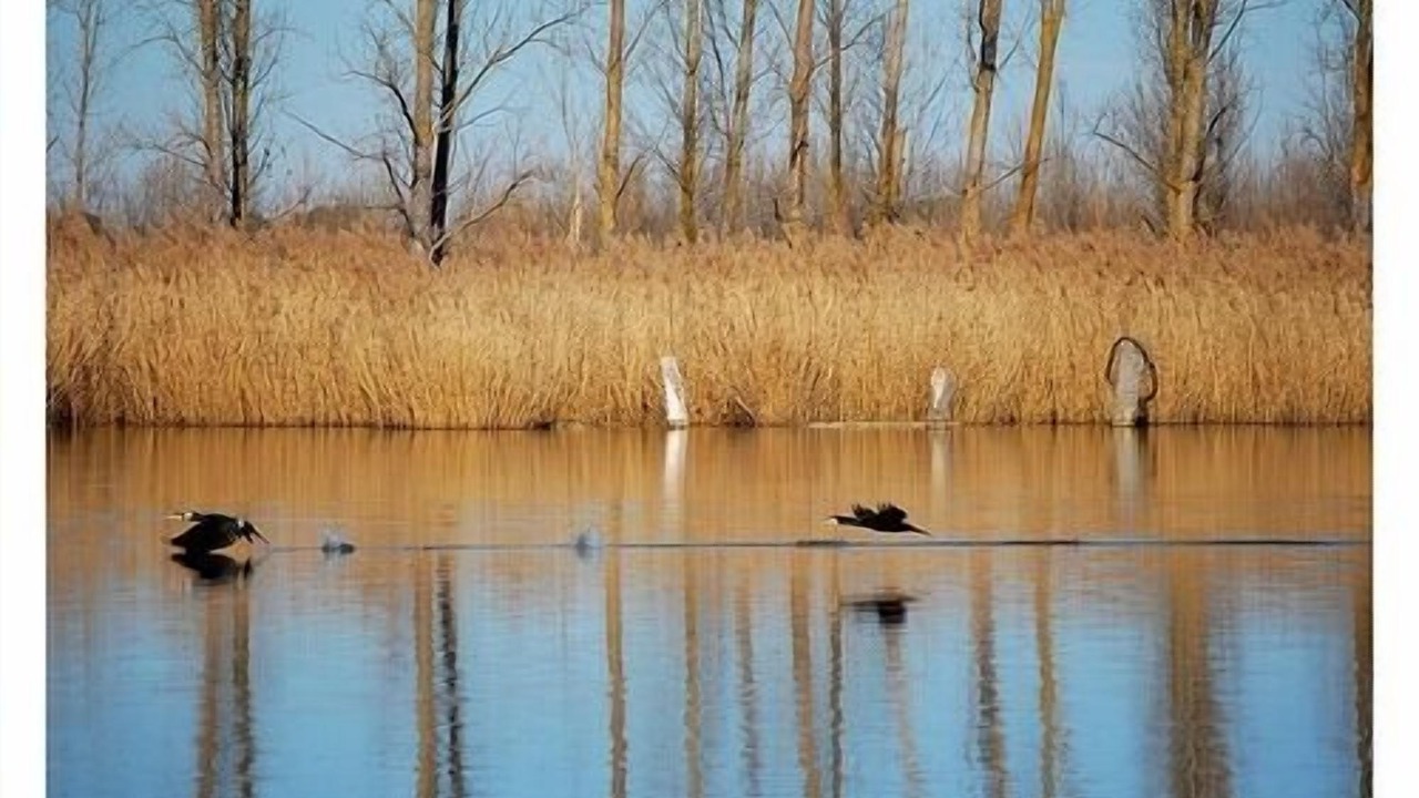 Photo of Outdoor in Villasexmir