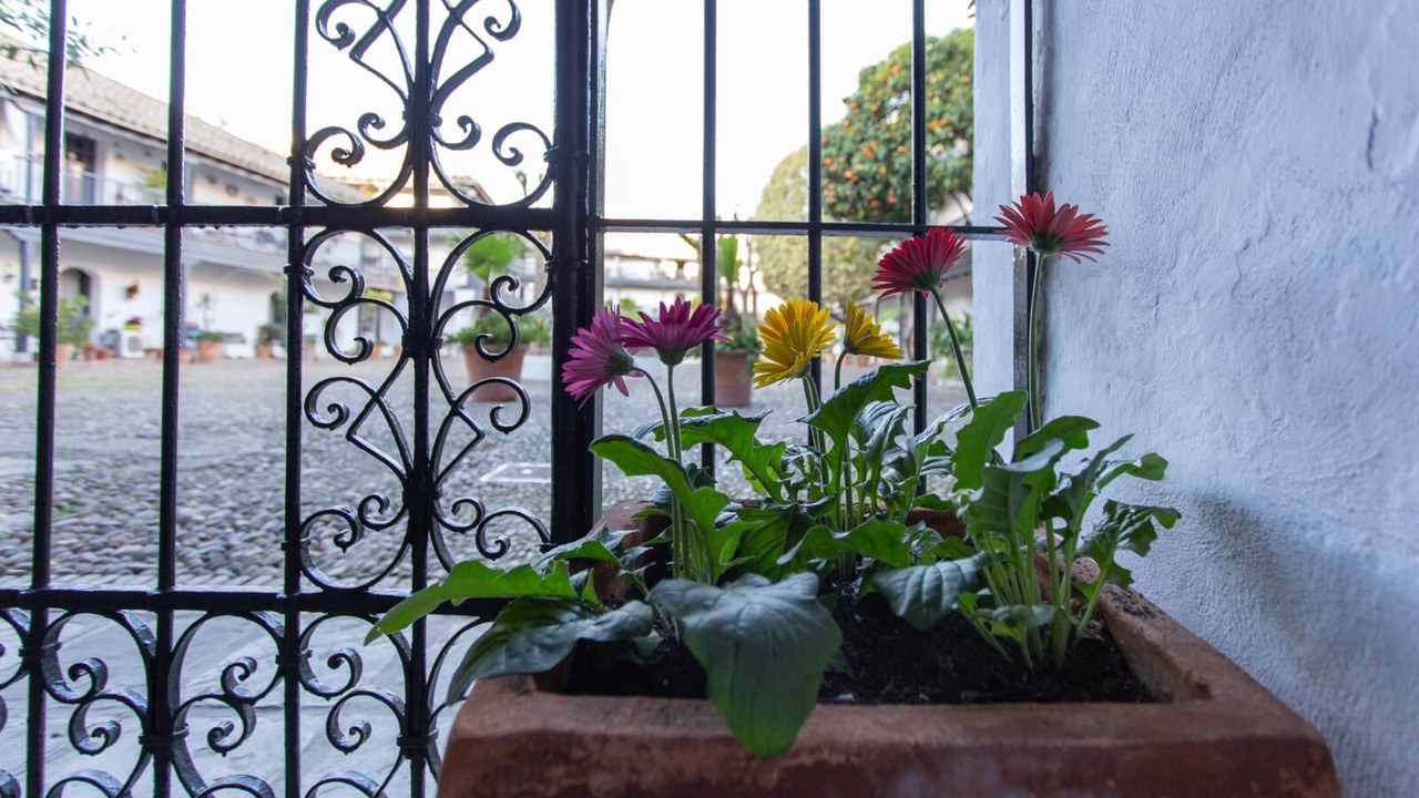 Photo of Outdoor in Santa Catalina