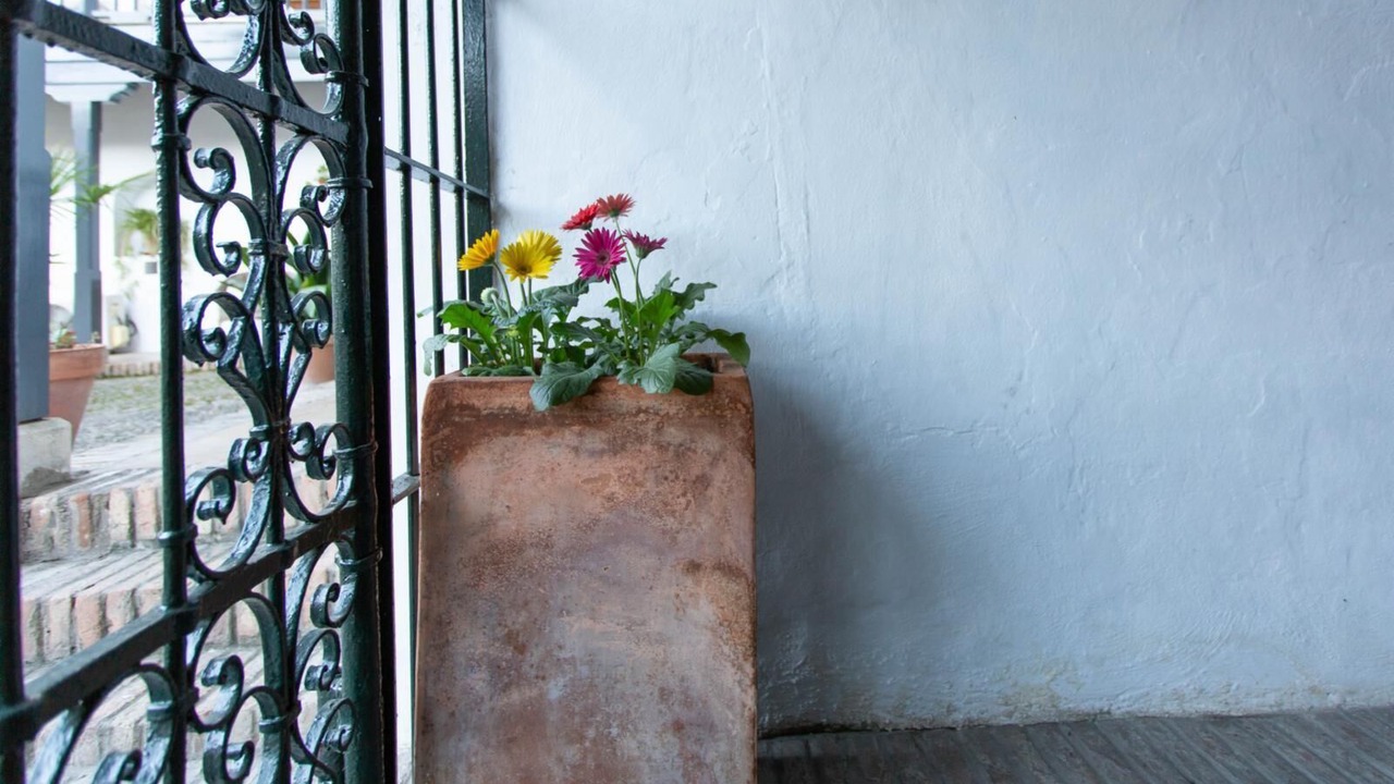Photo of Outdoor in Santa Catalina